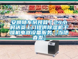 企業新聞安順隨車吊預算｜24小時送貨上門提供除濕機干燥機電器設備服務【當地直發】