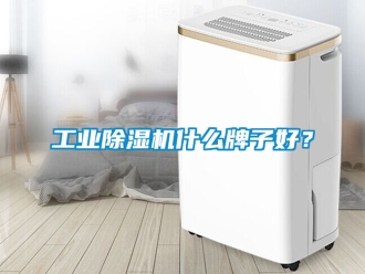 常見問題工業除濕機什么牌子好？