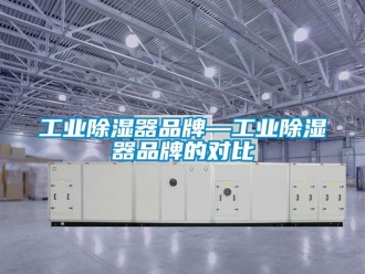 行業(yè)新聞工業(yè)除濕器品牌—工業(yè)除濕器品牌的對(duì)比