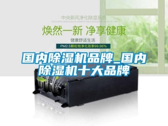 企業(yè)新聞國(guó)內(nèi)除濕機(jī)品牌_國(guó)內(nèi)除濕機(jī)十大品牌