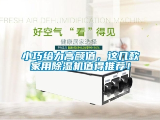 常見問題小巧給力高顏值，這幾款家用除濕機值得推薦！
