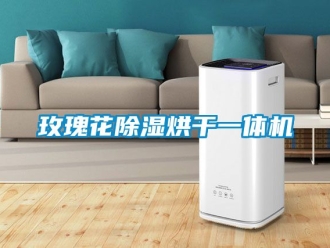 行業(yè)新聞玫瑰花除濕烘干一體機(jī)