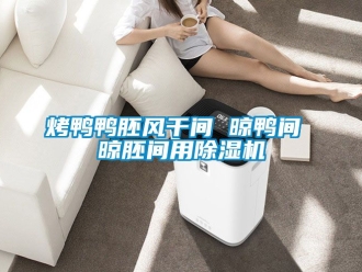 行業新聞烤鴨鴨胚風干間 晾鴨間 晾胚間用除濕機
