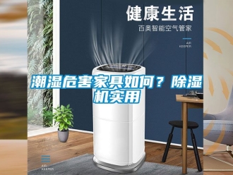 企業(yè)新聞潮濕危害家具如何？除濕機(jī)實用