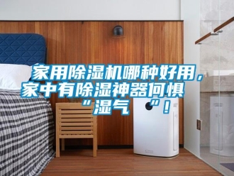 常見問題家用除濕機哪種好用，家中有除濕神器何懼 “濕氣 “！