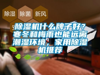 常見問題除濕機什么牌子好？寒冬和梅雨也能遠離潮濕環境，家用除濕機推薦