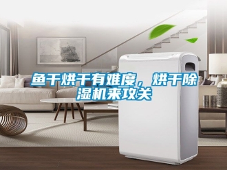 行業(yè)新聞魚干烘干有難度，烘干除濕機(jī)來(lái)攻關(guān)