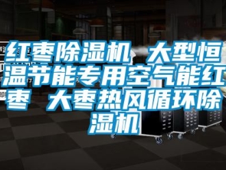 知識百科紅棗除濕機 大型恒溫節能專用空氣能紅棗 大棗熱風循環除濕機