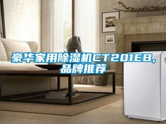 企業(yè)新聞豪華家用除濕機(jī)CT201EB,品牌推薦