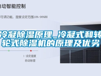 常見問題冷凝除濕原理_冷凝式和轉(zhuǎn)輪式除濕機(jī)的原理及優(yōu)劣