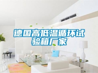 常見問題德國高低溫循環(huán)試驗(yàn)箱廠家
