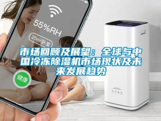 行業新聞市場回顧及展望：全球與中國冷凍除濕機市場現狀及未來發展趨勢
