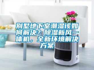 常見問題別墅地下室潮濕該如何解決？除濕新風(fēng)一體機，全新環(huán)境解決方案