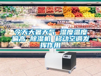 行業新聞今天大暑天氣 濕度溫度偏高 除濕機 移動空調發揮作用