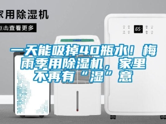 行業(yè)新聞一天能吸掉40瓶水！梅雨季用除濕機(jī)，家里不再有“濕”意