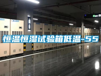 知識(shí)百科恒溫恒濕試驗(yàn)箱低溫-55℃