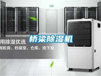 行業(yè)新聞橋梁除濕機(jī)