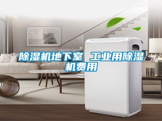 常見問題除濕機(jī)地下室 工業(yè)用除濕機(jī)費用