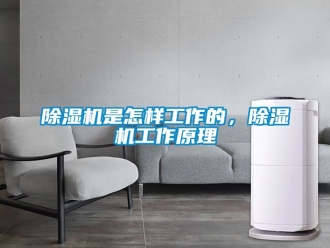 行業新聞除濕機是怎樣工作的，除濕機工作原理