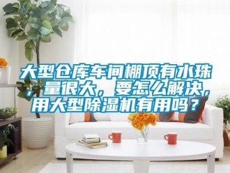 企業(yè)新聞大型倉庫車間棚頂有水珠，量很大，要怎么解決，用大型除濕機(jī)有用嗎？
