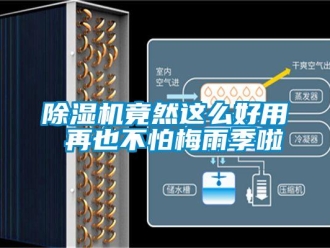 常見問題除濕機(jī)竟然這么好用 再也不怕梅雨季啦