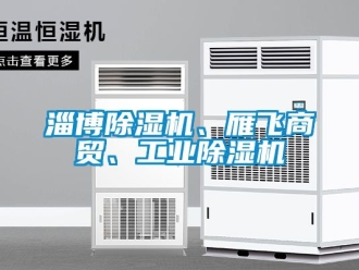 常見問題淄博除濕機、雁飛商貿(mào)、工業(yè)除濕機