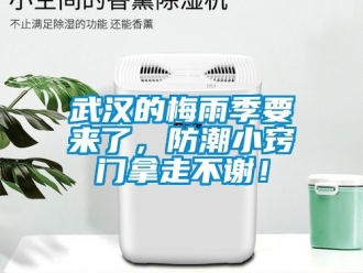 常見問題武漢的梅雨季要來了，防潮小竅門拿走不謝！