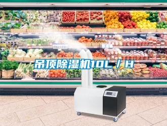 企業(yè)新聞吊頂除濕機(jī)10L／H