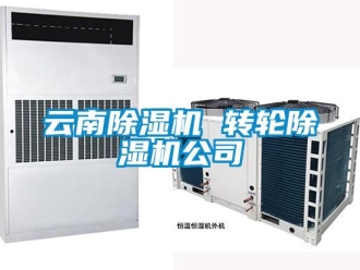常見問題云南除濕機 轉輪除濕機公司