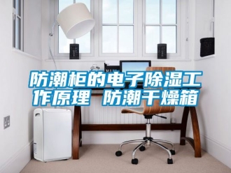 常見問題防潮柜的電子除濕工作原理 防潮干燥箱
