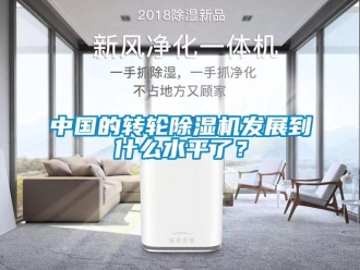 常見問題中國的轉輪除濕機發展到什么水平了？