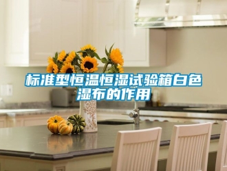 常見問題標準型恒溫恒濕試驗箱白色濕布的作用