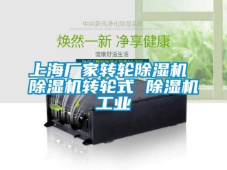 企業(yè)新聞上海廠家轉(zhuǎn)輪除濕機(jī) 除濕機(jī)轉(zhuǎn)輪式 除濕機(jī)工業(yè)