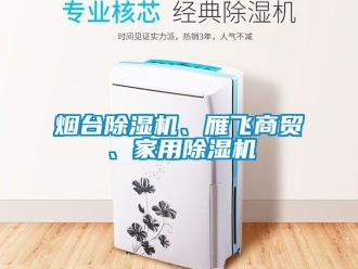 常見問題煙臺除濕機、雁飛商貿、家用除濕機