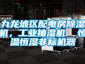 常見問題九龍坡區配電房除濕機，工業抽濕機  恒溫恒濕非標機器