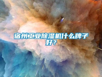 常見問題宿州工業除濕機什么牌子好？