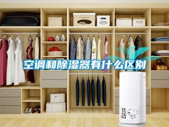 行業(yè)新聞空調(diào)和除濕器有什么區(qū)別