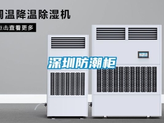 常見問題深圳防潮柜