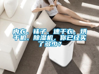 行業(yè)新聞內(nèi)衣、襪子、速干衣、烘干機(jī)、除濕機(jī)，你已經(jīng)買了多少？