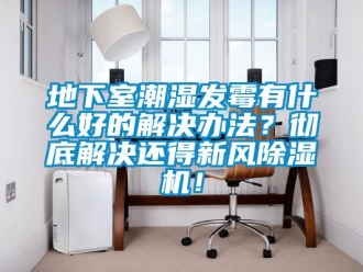 常見問題地下室潮濕發霉有什么好的解決辦法？徹底解決還得新風除濕機！