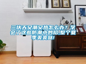 常見問題三伏天又潮又熱怎么辦？學會了這些防潮小妙招,整個夏季爽爽噠!
