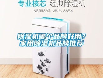 企業新聞除濕機哪個品牌好用？家用除濕機品牌推薦