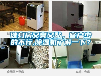 行業(yè)新聞健身房又臭又黏，客戶(hù)少的不行,除濕機(jī)了解一下？