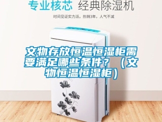 知識百科文物存放恒溫恒濕柜需要滿足哪些條件？（文物恒溫恒濕柜）