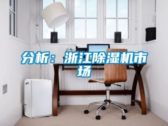 企業新聞分析：浙江除濕機市場