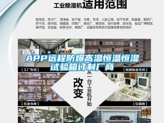 常見問題APP遠程防爆高溫恒溫恒濕試驗箱訂制廠商