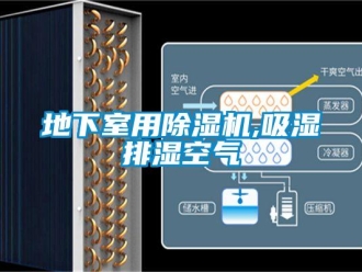 行業(yè)新聞地下室用除濕機(jī),吸濕排濕空氣