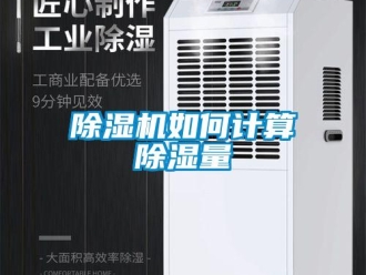 常見問題除濕機如何計算除濕量