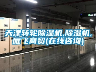 常見問題天津轉輪除濕機,除濕機,雁飛商貿(在線咨詢)