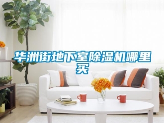 行業新聞華洲街地下室除濕機哪里買